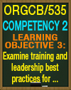 ORGCB/535 Competency 2 Learning Objective 3